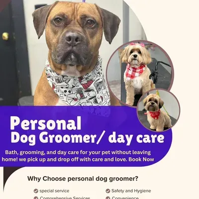 Personal dog groomer Thiago Silva