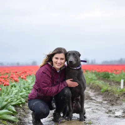 Kismet Canine Training