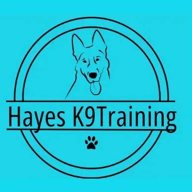 HayesK9Training