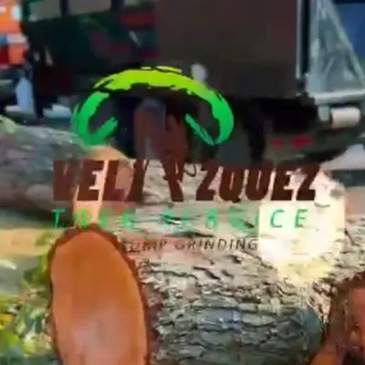 Tree services