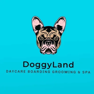 DoggyLand Daycare Boarding Grooming & Spa