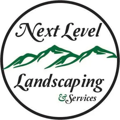 Next level landscaping and services