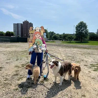 The furry adventure