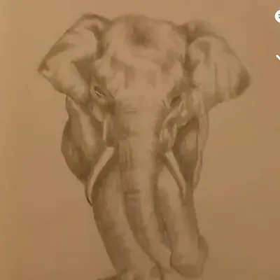 Gifted and talented artist