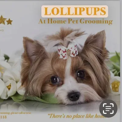 Lollipups Pet Grooming