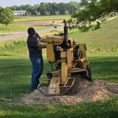 Rigo Stump Grinding