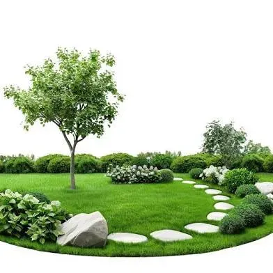 Betheas Irrigation
