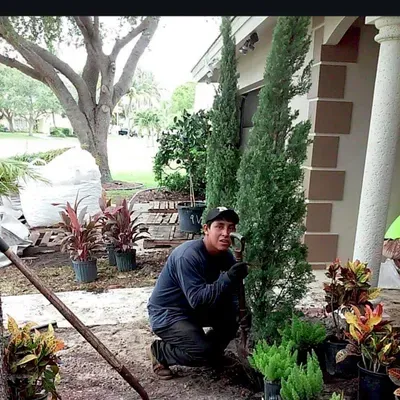 Tony gardening services