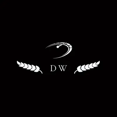 DW AUTOMOTIVE