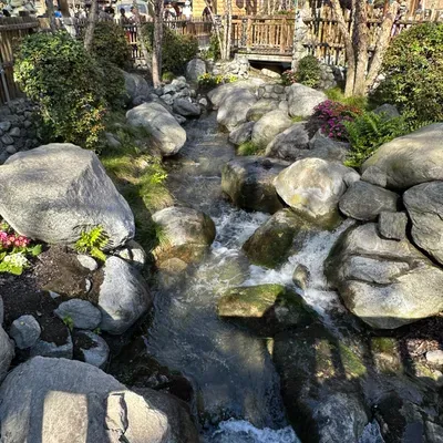 Alvaro's Landscaping