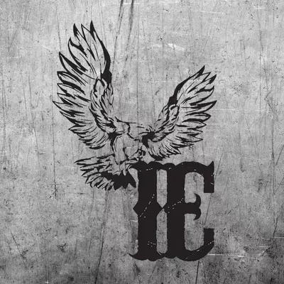 Iron Eagle Excavation