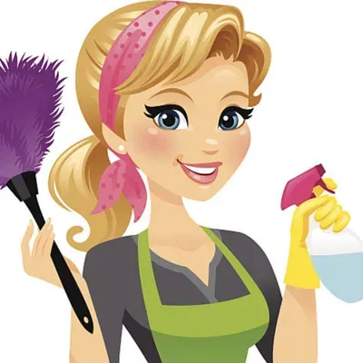 Pioneer cleaning