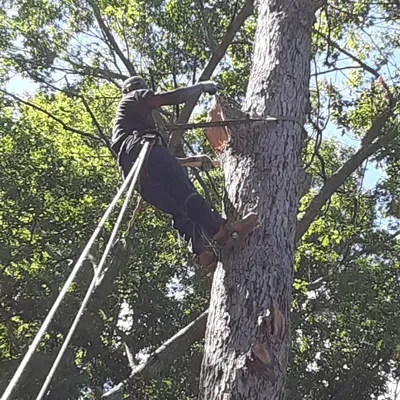 D&E Contractors
