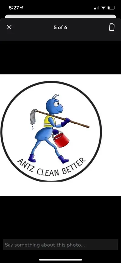 Antz Clean Better LLC