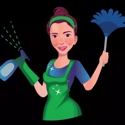 Maid to Perfection Cleaning Services LLC