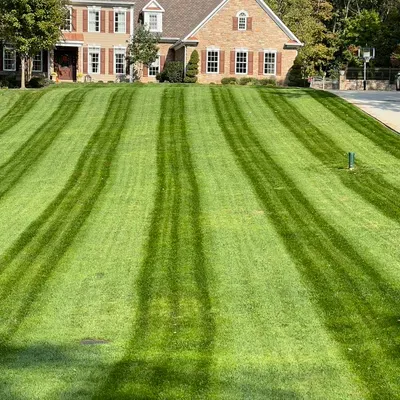 Grass Monkey & Trees Service