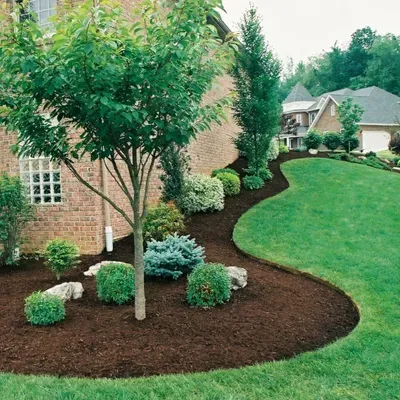 J&V landscaping
