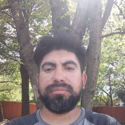 J.a Alvarez landscaping tree services