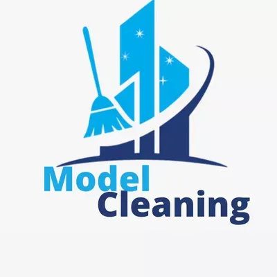 Model Cleaning ?