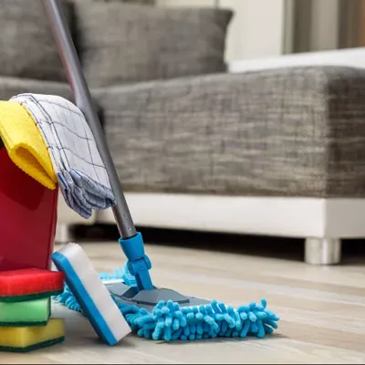 Bumblebee House Cleaning