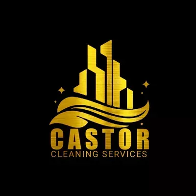 Castor Cleaning services