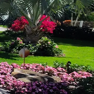 TN LANDSCAPING INC