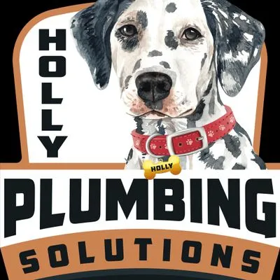 Holly Plumbing Solutions