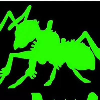 Potomac Pest and Termite Control