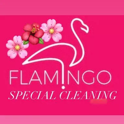 ??Flamingos Special Cleaning ??