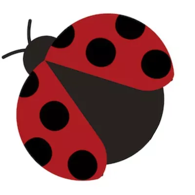 Ladybug Pro Services, LLC