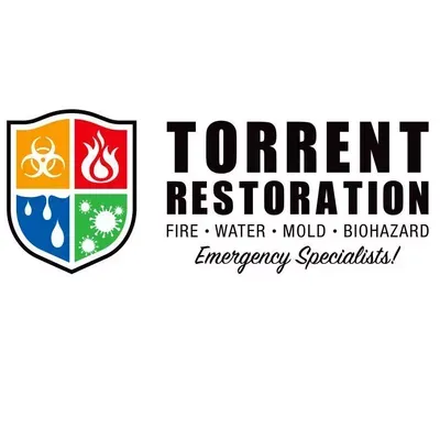 Torrent Restoration