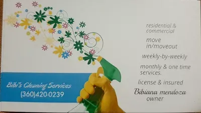 Bibi's cleaning services