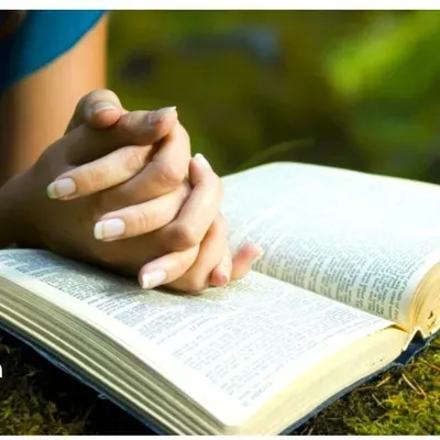 Counseling  Service  Chesed
