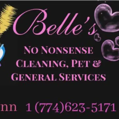 no nonsense Pet sitting & General services