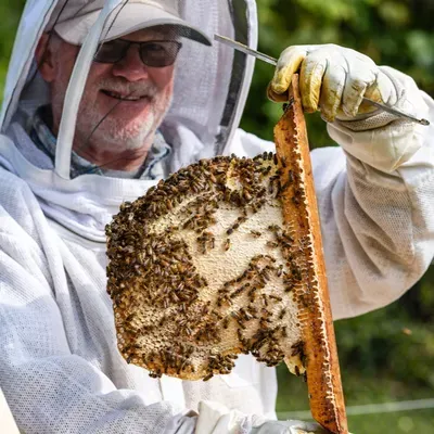 Beekeepers and Co.
