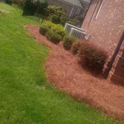 Derrick's landscaping and Pine Needles