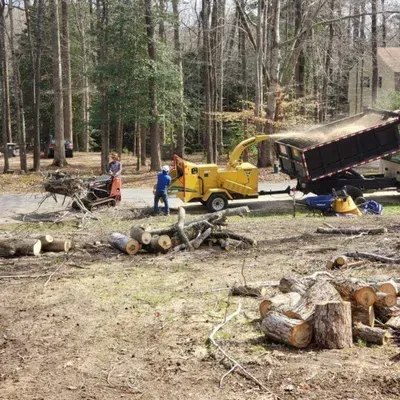 LandscapeX Lawn & Tree Service