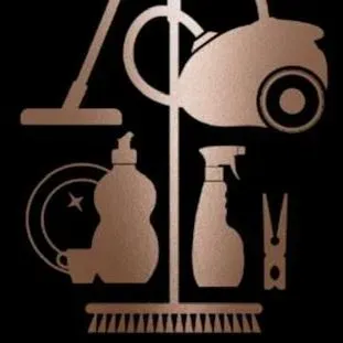 The Blue Ridge Cleaning Company