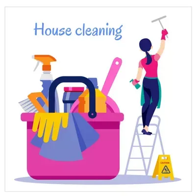 VOX Cleaning PRO