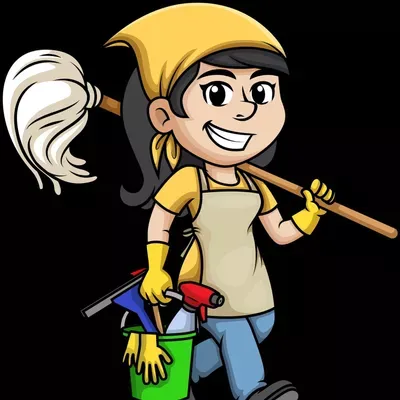 Lil's cleaning service