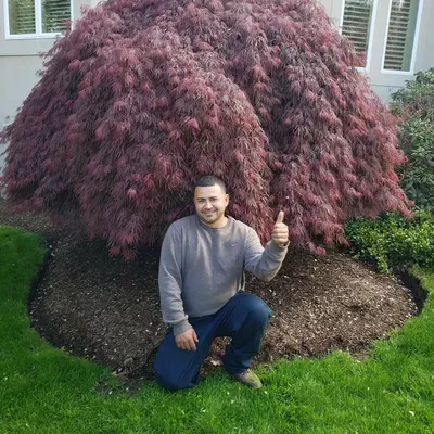 Lopez Landscaping Full Services