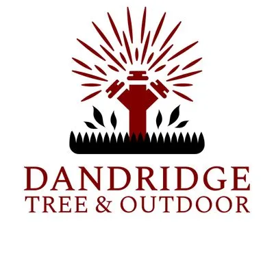 Dandridge Tree & Outdoor LLC