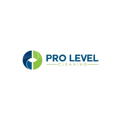 pro level cleaning