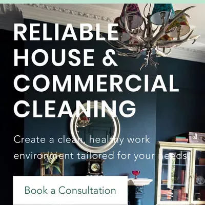 JM house cleaning LLC