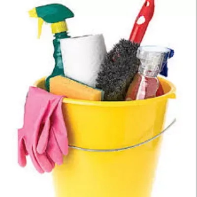 Clean Living