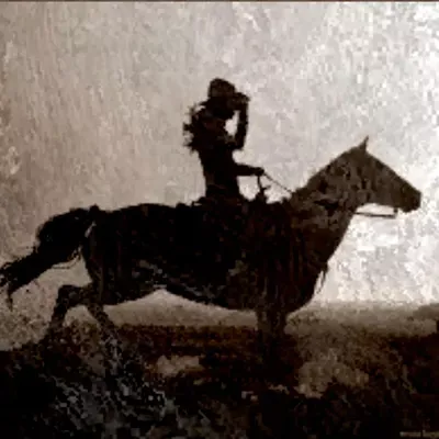 Saddle Up Cleaning LLC