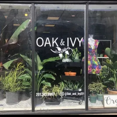 Oak & Ivy