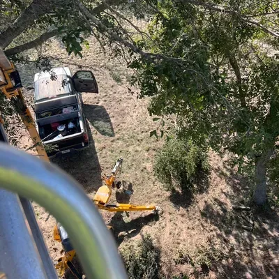 Affordable Trees & Stump Grinding