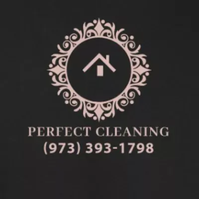 perfect cleaning✨
