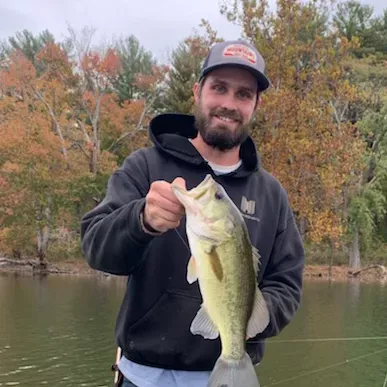 Eagle lawn landscaping